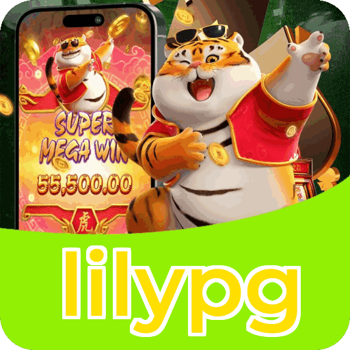 Verificação KYC lilypg